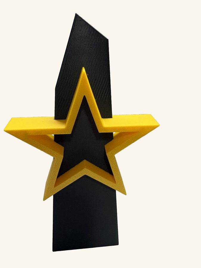 Custom 3D printed star award trophy in black and gold